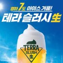 (주)테라투어