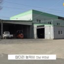 모두싹 출시 5개월 만에 매출1위! 그 비결은?