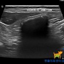 닥터 전 동물병원 이미지