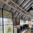박사마을곰핫도그 네이버블로그