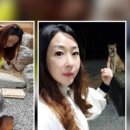 오리오 펜션 이미지