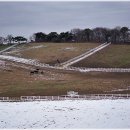 신세계짬뽕 이미지