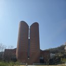 남양동산 | 벚꽃명소인 남양성모성지 방문후기