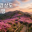 신기초교 | 5월 경상도 봄 여행지 추천, 황매산 철쭉부터 통영 한려수도까지 봄 설렘 가득한 명소 심화 가이드