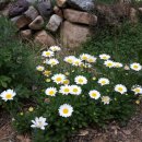 운문유치원 이미지