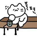 정우청과
