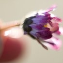 마음의집 이미지