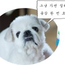 미화횟집 이미지