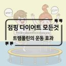 렛츠고동네점핑다이어트