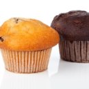 세계로 동물병원 이미지