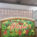 골드카써비스 | 하와이① 호놀룰루-빅아일랜드 환승, 허츠 렌트카 골드회원 긴급 출동 후기