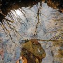 예술의전당 뒤(신정 약수터) 이미지