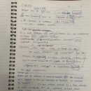 앙크레 | 앙크레 떼넬(프렌치 마롱):수업 후기(1) _Dictée_ C1