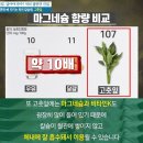 ■12월12일 목요일■'칼슘'이 우유보다 3배, 달걀보다 7배 많은 천연식재료는? 이미지