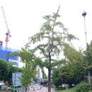 (주)알아차림 여의도