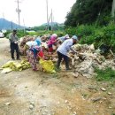 코스모스환경 이미지