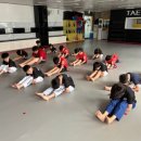 현대석사태권도 이미지