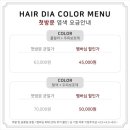 도은헤어 네이버블로그