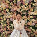 이화1길 46 | [전북 전주/군산] 비가 왜 이렇게 많..! 시원하고 좋다~ 완전 럭키비키쟈낭🍀