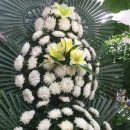 천우화원 이미지