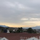 멍멍수랏간 | 경주조식펜션세러데이에서소확행