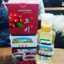 젬마유치원 이미지