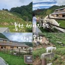 세이지우드 홍천산양목장 | 홍천 바회마을 아이와 가볼만한 곳 세이지우드 산양목장