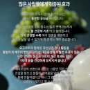 순이네 목장 Daum카페