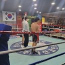 대산권투체육관 이미지