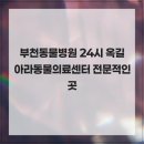 옥길아라동물의료센터 이미지