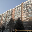 압구정-111 이미지