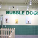 버블버블 애견샵 이미지