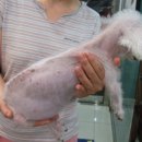 에이블 동물병원 이미지