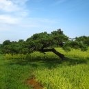 다복솔농장 이미지