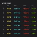 똥개언니 | 2026년 병오년 어서오고 🐎🌅