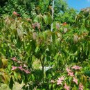 동양농장 이미지