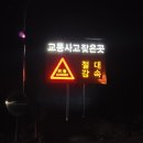 삼거리표지판 일간투데이