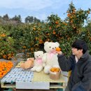 새우리농장 이미지