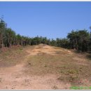 아화2리 이미지