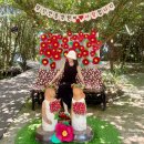 노랑등대 앞 | 여수 오동도 가볼만한 곳 오동도 근처 맛집 여수 갈치조림 꽃게장 정식