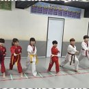 신강호 태권도 이미지