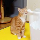 누리아미 이미지