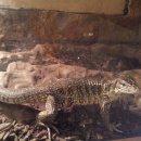 수성랜드 이미지