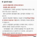 강아지 데리고 KTX 탄 승객…"표 끊었는데 벌금 40만원" 이미지