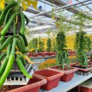 거제시농업개발원 | 다양한 농업 경험을 만끽한 거제시농업개발원 방문 후기