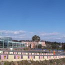 감귤박물관 이미지