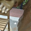 평화회관 이미지