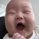 명신카센타 - 경주시 갓뒤길20번길 21 | 명신카센타