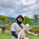 산소이야기 | 산소이야기 워크샵 4일차 후기, 사막투어가 이렇게 기억에 남을 줄은