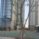 G3006 이미지